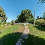 Segni