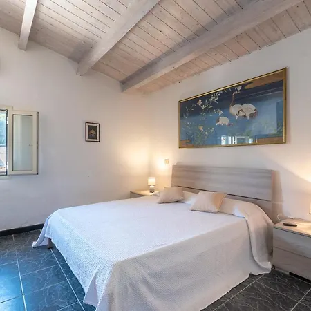 Segni Holiday
