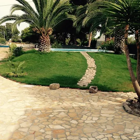 Segni Holiday